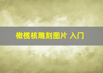 橄榄核雕刻图片 入门